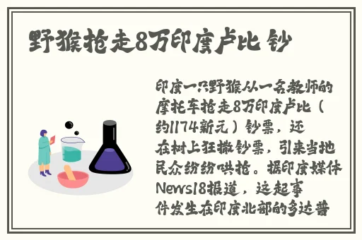 日本阿v免费观看网站
